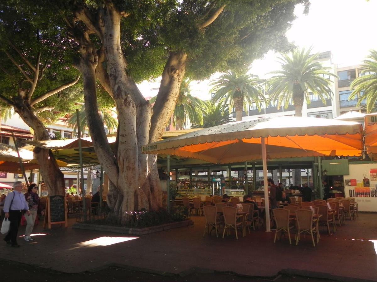 Apartamento The fishing harbour Puerto de la Cruz Exterior foto